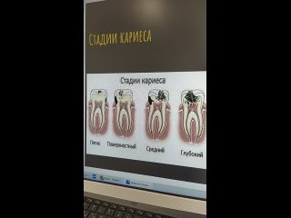 Live: ORLOVSKY DENTAL CENTER Правобережье г. Калуга