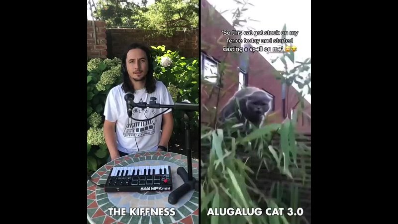The Kiffness x Alugalug Cat 3. 0 ( Spell