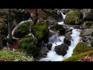 Mountain river with crystal clear water