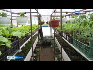 Победитель регионального конкурса “Агростартап“ начнет выращивать зелень, используя аэропонные установки