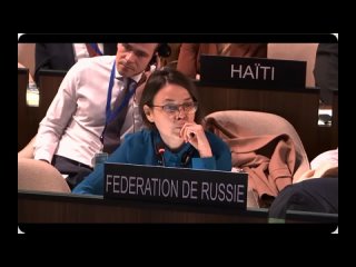 Заместитель постпреда России при ЮНЕСКО Татьяна Довгаленко напомнила странам Запада об их двуличии