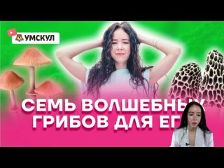 Семь волшебных грибов для ЕГЭ