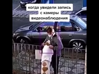 Video by Котики - Собачки