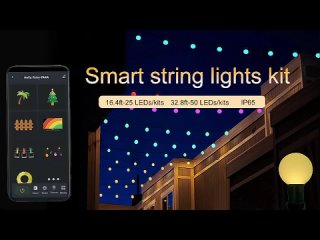 wendalights Smart Remote Contro rgb G40 String lights resolved in just 7 steps