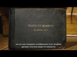 The Booksellers / Книготорговцы (2019) (Documentary)