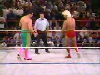 WWF Monday Night Raw 01/18/1993