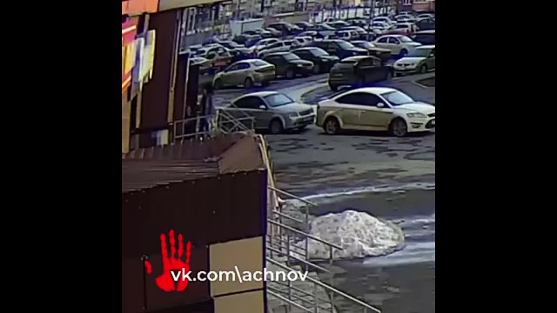 Юная живодерка в Челябинске подозревается в убийстве щенка.