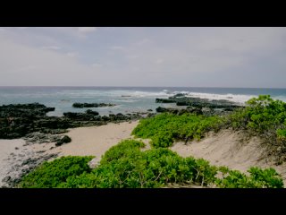 Hawaii, Oahu - 4K Scenic Nature Film with Soothing Music  Nature Sounds  NO Narration