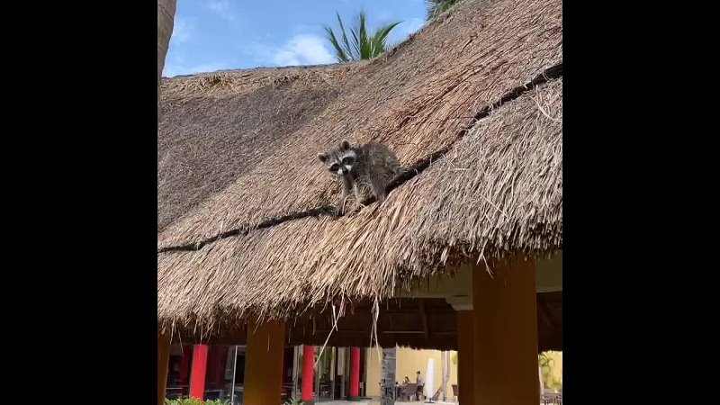 Курорты Мексики