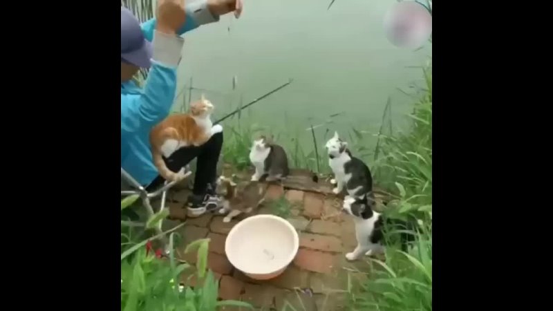 Рыбалка с