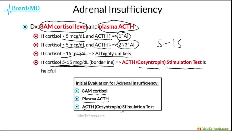 Adrenal 2 ( Adrenal Insufficiency Work Up Mgmt)