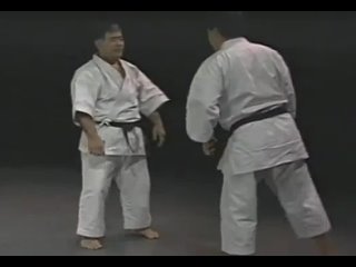 Shihan Morio Higaonna · Goju Ryu Karate
