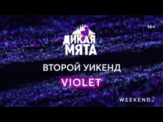 «Дикая Мята. Violet» (24-26 июня) — Weekend 2