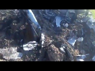 Сбитый украинский Су-25 вблизи Херсона.
