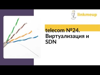 telecom №24. Виртуализация и SDN