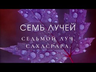 Video by Мир 
