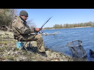 Рыбалка со ЗМЕЯМИ - ГАДЮКА лезет в сумку, ВОДЯНЫЕ УЖИ ползут со всех сторон, Карась на фидер весной