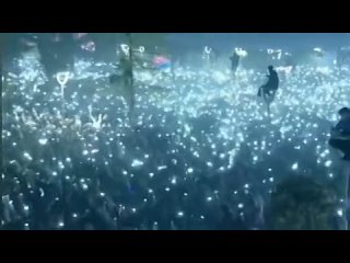 Trabzonspor fans celebrating the clubs first league title in 38 years