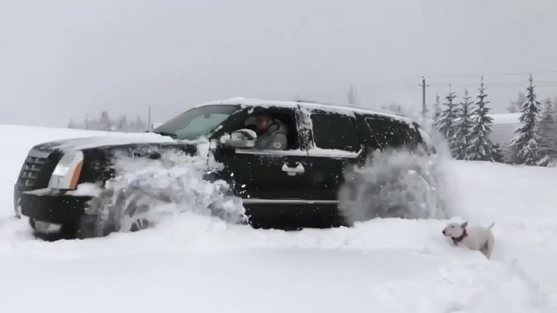 Cadillac Escalade по снежным