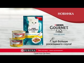 Реклама Purina (2020) (8382)