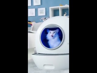 Кошачий автоматический самоочищающийся туалет