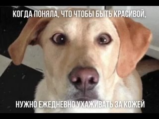 Когда поняла, что чтобы быть красивой, нужно ежедневно ухаживать за кожей.