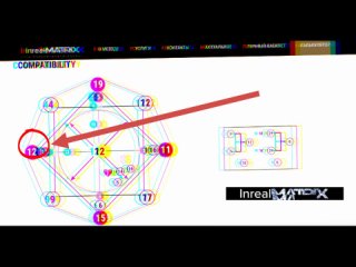 Блиновская VS Собчак | Разбор интервью по матрице личности