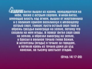 BS236 Rus 29. Великая скорбь. Три Ангела жатвы (14:14-20).