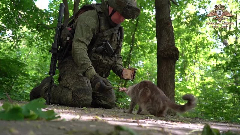 Военнослужащие НМ ДНР спасают животных которые в следствие боевых действий остались брошенными в разрушенных городах