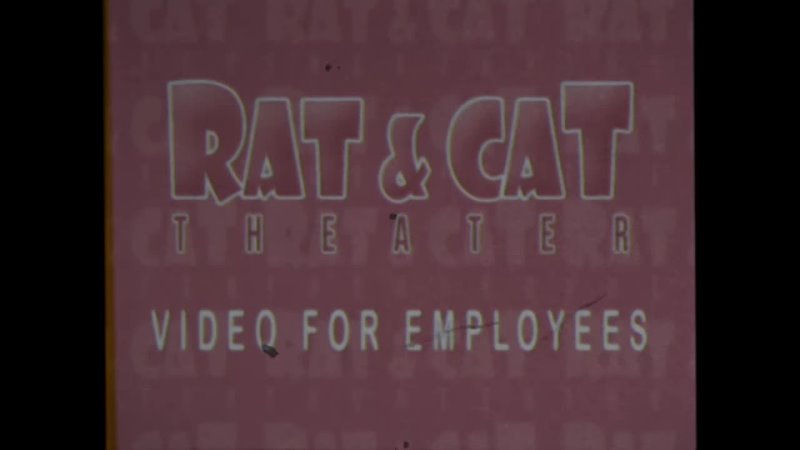 Video for Employees