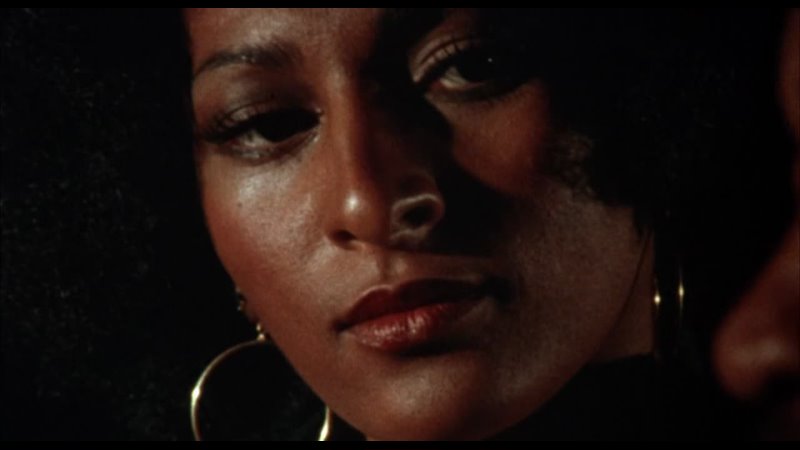 Foxy Brown (Esmer Tilki) (1974) (Türkçe)