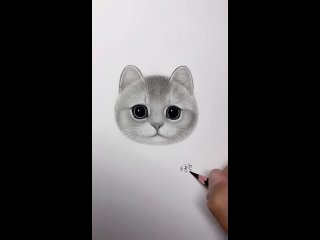 Учимся рисовать кота