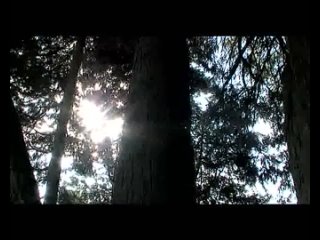 Damien Lovegroove - Natural Light