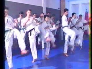 Kyokushin Karate Instructional Video Ii (A Typical Training Session)By Andy