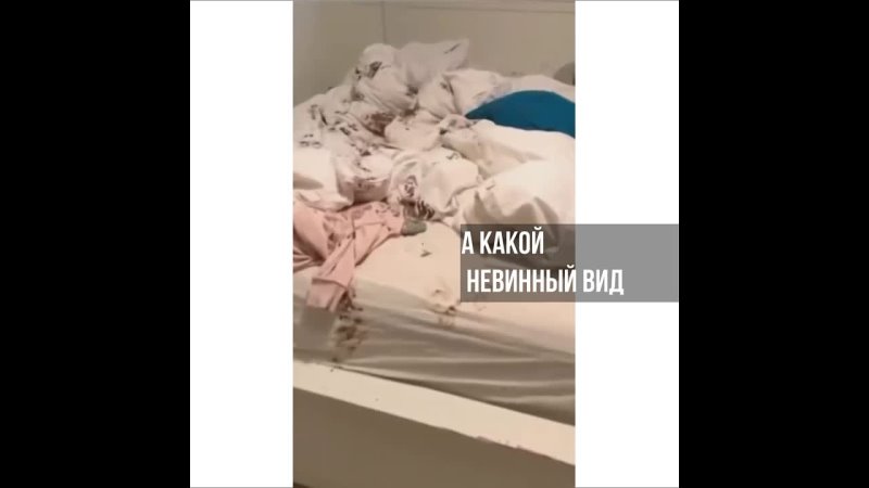 А какой невинный