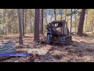 Советский трактор в деле. Секеровочным тросом было бы проще...