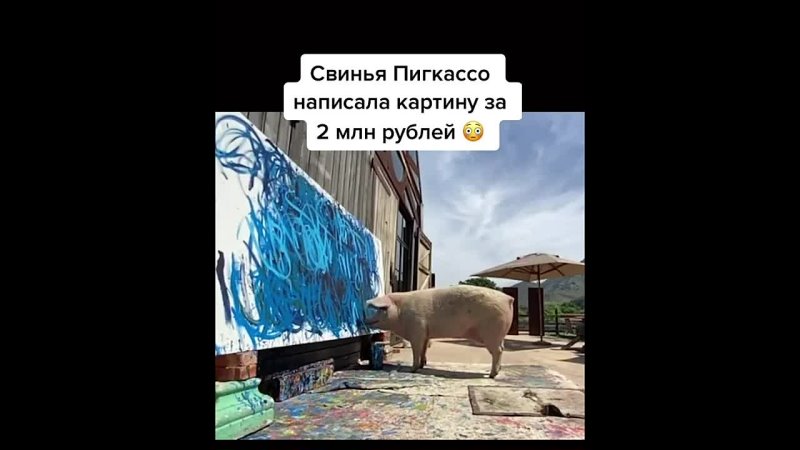 Свинка по кличке Пикассо