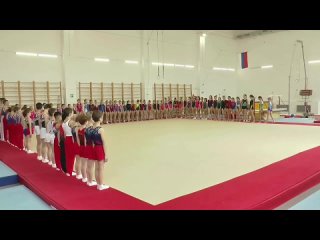 Чемпионат и первенство Липецкой области по спортивной гимнастике