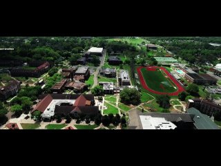 Дорогой дневник (2020)