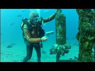 Лучшие друзья