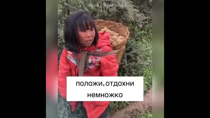 Видео про китаи скую