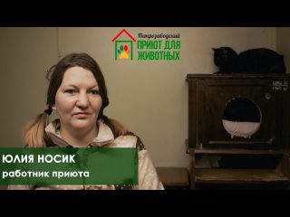 Юлия Носик, работник приюта