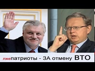 ЛЖЕпатриоты Миронов, Делягин за отмену ВТО