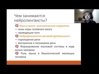 Как быть лингвистом и копаться в чужих мозгах: нейролингвистика — Никита Змановский (ММФЯ-2020)