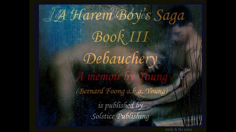 A Harem Boys Saga III Debauchery; a memoir by
