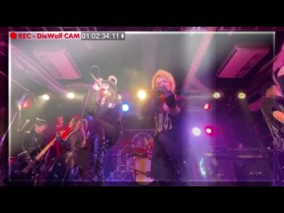 JILUKA x Leetspeak Monsters - Amphisbaena (live)