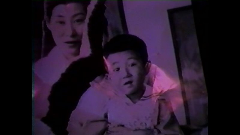 Video Letters (Shūji Terayama; Shuntaro Tanikawa, 1983)