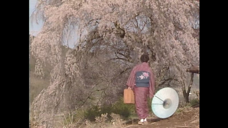 Cherry Blossoms in Spring (Seijun Suzuki, 1983)