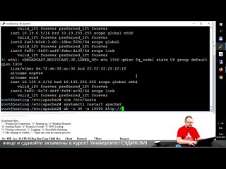 Как контролировать производительность веб-сервера Apache с помощью модуля mod_status в Linux