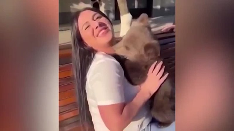Медвежонок едва не отгрыз девушке подбородок на фотосессии в Грозном